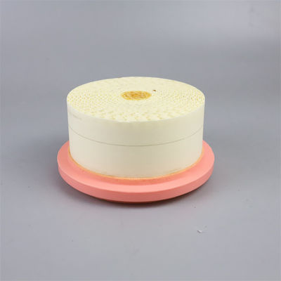 Filtro dell'aria del compressore d'aria 6.4161.0 3 mesi 1 kg per filtrazione dell'aria di lunga durata