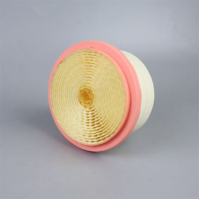 Filtro dell'aria del compressore d'aria 6.4161.0 3 mesi 1 kg per filtrazione dell'aria di lunga durata