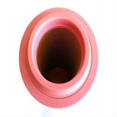 Filtro d'aria per apparecchiature pesanti P778994 con filtro di cellulosa medio e condizione