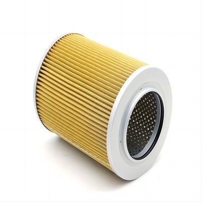 3 mesi Elemento filtro idraulico RD809-62130 per sistemi idraulici industriali