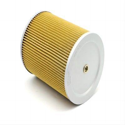 3 mesi Elemento filtro idraulico RD809-62130 per sistemi idraulici industriali