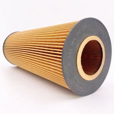 Filtro di olio da pompa di filtraggio per camion A5411840225 con 3 mesi di componenti principali