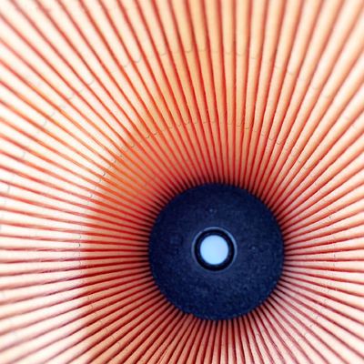 Migliora il tuo sistema di filtrazione con E422H D86 filtro olio di rifornimento e 3 mesi