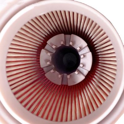 2 kg elemento filtro del carburante RE520906 per macchine di ingegneria di componenti principali 3 mesi